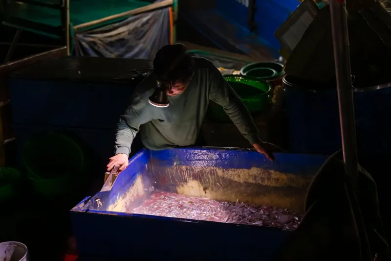 Do Oceano à Mesa: O Compromisso Inabalável do Dimar com o Peixe Mais Fresco do Dia