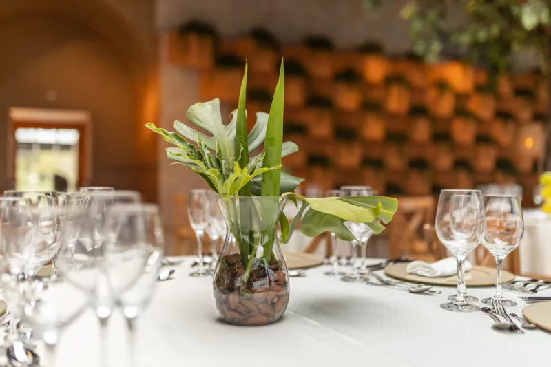 A Arte de Sentar à Mesa: Como os Rituais Portugueses do Dimar Elevam Cada Refeição a uma Cerimônia Inesquecível